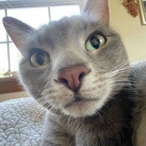 Meet your Posher, Robin